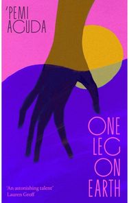 One Leg on Earth: The 'stunning' (Abi Dare) 2026 debut novel from the National Book Award finalist
