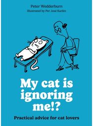 My cat is ignoring me!?: Practical advice for cat lovers