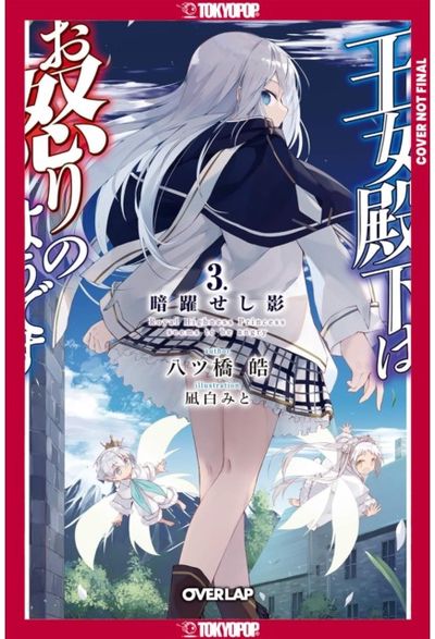 Her Royal Highness Seems to Be Angry, Volume 3 (Light Novel)