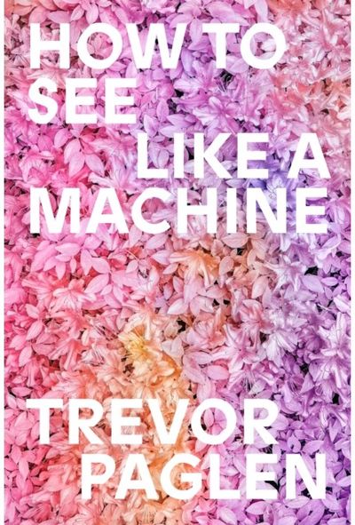 How to See Like a Machine: Images After AI