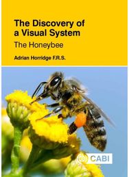 Discovery of a Visual System: The Honeybee