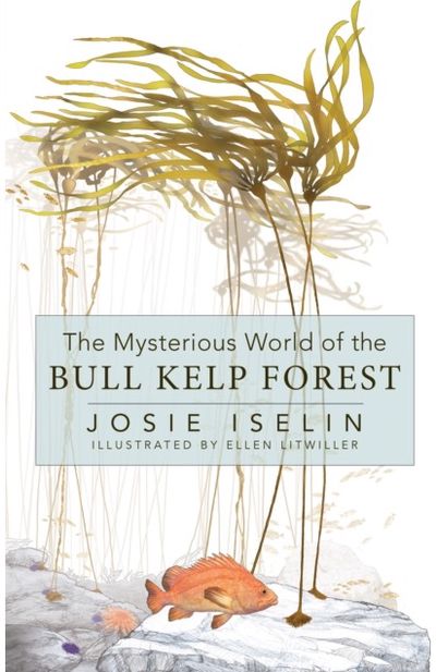 Mysterious World of the Bull Kelp Forest