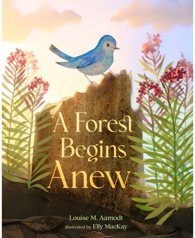 Forest Begins Anew