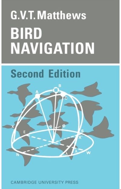 Bird Navigation