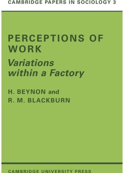 Perceptions of Work: Variations within a Factory