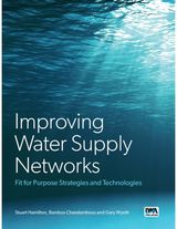 Improving Water Supply Networks: Fit for Purpose Strategies and Technologies