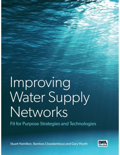 Improving Water Supply Networks: Fit for Purpose Strategies and Technologies