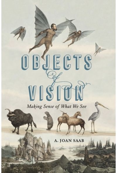 Objects of Vision: Making Sense of What We See