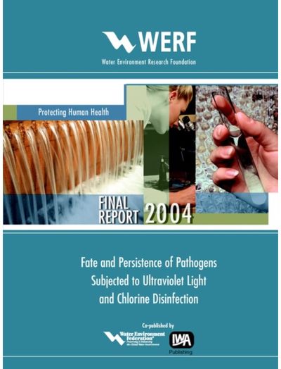 Fate and Persistence of Pathogens Subjected to Disinfection