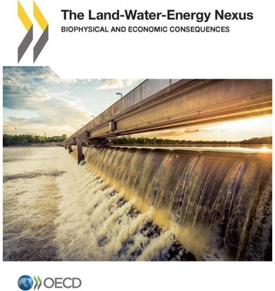 Land-Water-Energy Nexus: Biophysical and Economic Consequences
