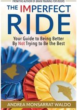 Imperfect Ride: Your Guide to Being Better By Not Trying to Be the Best