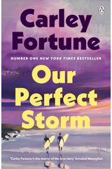 Our Perfect Storm