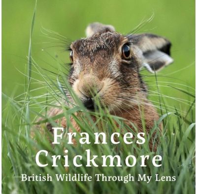 Frances Crickmore - British Wildlife Through My Lens