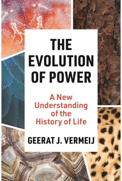 Evolution of Power: A New Understanding of the History of Life