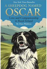 Sheepdog Named Oscar: Love and Companionship in Rural Ireland
