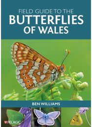 Field Guide to the Butterflies of Wales