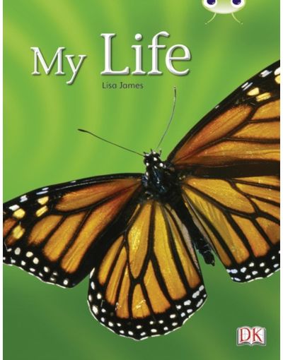 Bug Club Guided Non Fiction Year 1 Yellow C My Life