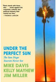 Under the Perfect Sun: The San Diego Tourists Never See