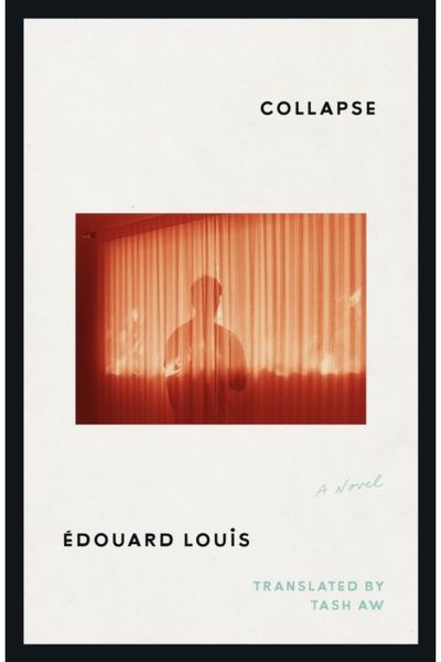 Collapse: A Novel