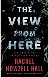 View from Here: A Thriller
