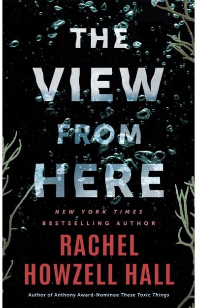 View from Here: A Thriller