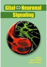 Glial ? Neuronal Signaling