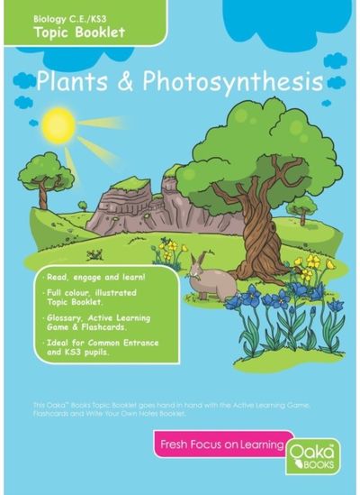 PLANTS PHOTOSYNTHESIS