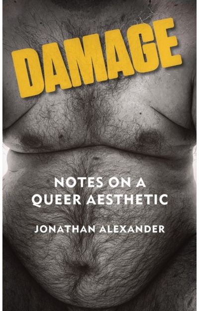 Damage: Notes on a Queer Aesthetic