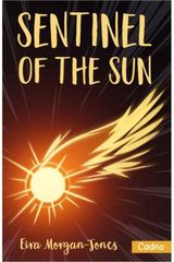 Sentinel of the Sun