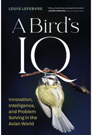 Birds IQ: Innovation, Intelligence, and Problem Solving in the Avian World