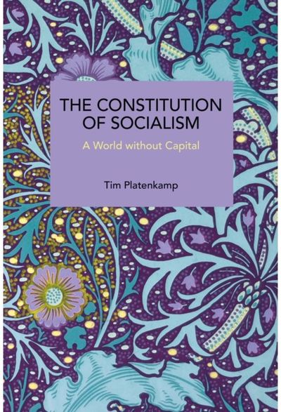 Constitution of Socialism