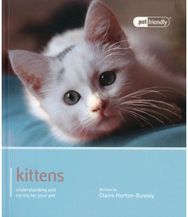 Kitten - Pet Friendly