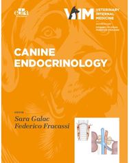 Canine Endocrinology
