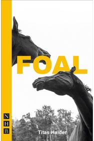 Foal