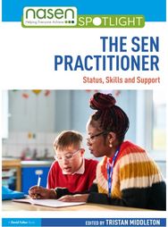 SEN Practitioner: Status, Skills, and Support