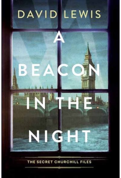 Beacon in the Night