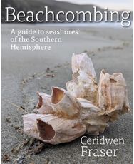 Beachcombing: A guide to seashores of the Southern Hemisphere