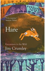 Hare