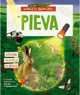 Pieva