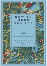 How to Mend the Sky