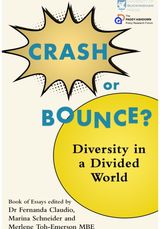 Crash or Bounce: Diversity in a Divided World
