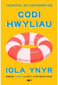 Codi Hwyliau - Ysgrifau ar Hapusrwydd: Ysgrifau ar Hapusrwydd