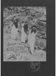 Le Nemesiache: Reclaiming Mythological Rituals