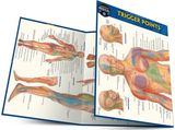 Trigger points