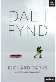 Stori Sydyn: Dal i Fynd