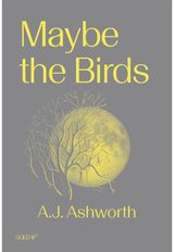 Maybe the Birds