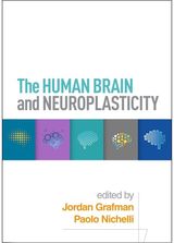 Human Brain and Neuroplasticity