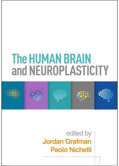 Human Brain and Neuroplasticity