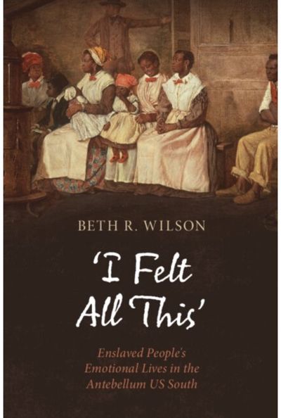 ‘I Felt All This’: Enslaved People's Emotional Lives in the Antebellum US South