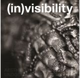 (in)visibility